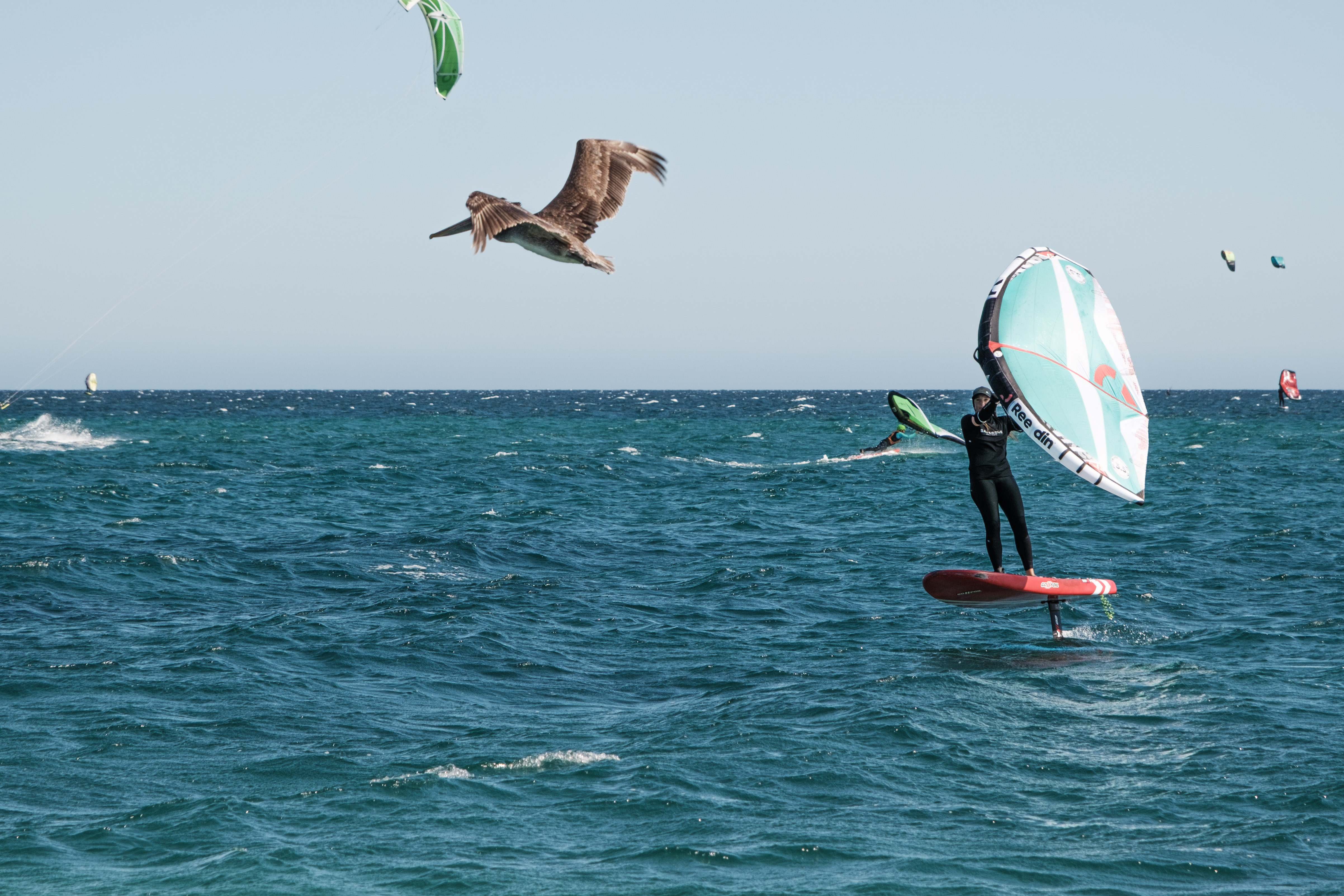 Baja Wing & Watersports — photo 5