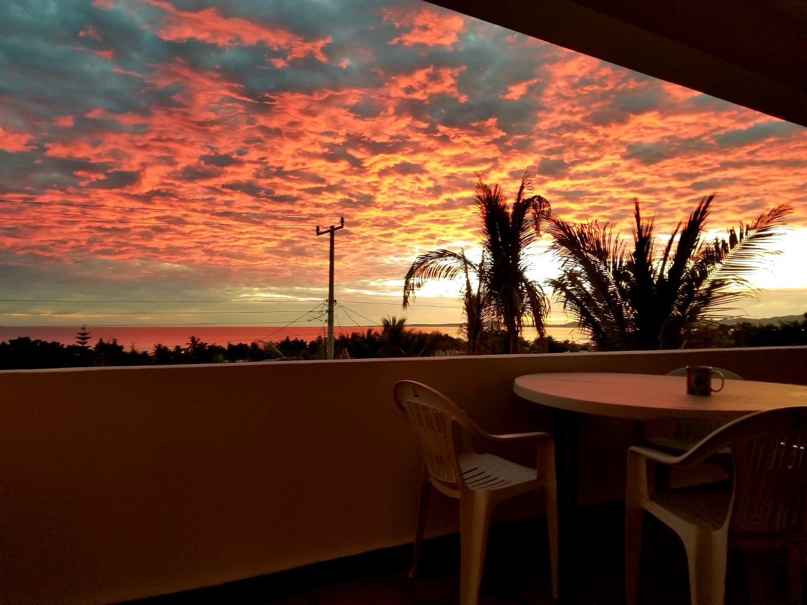 Casa Palmar — photo 8