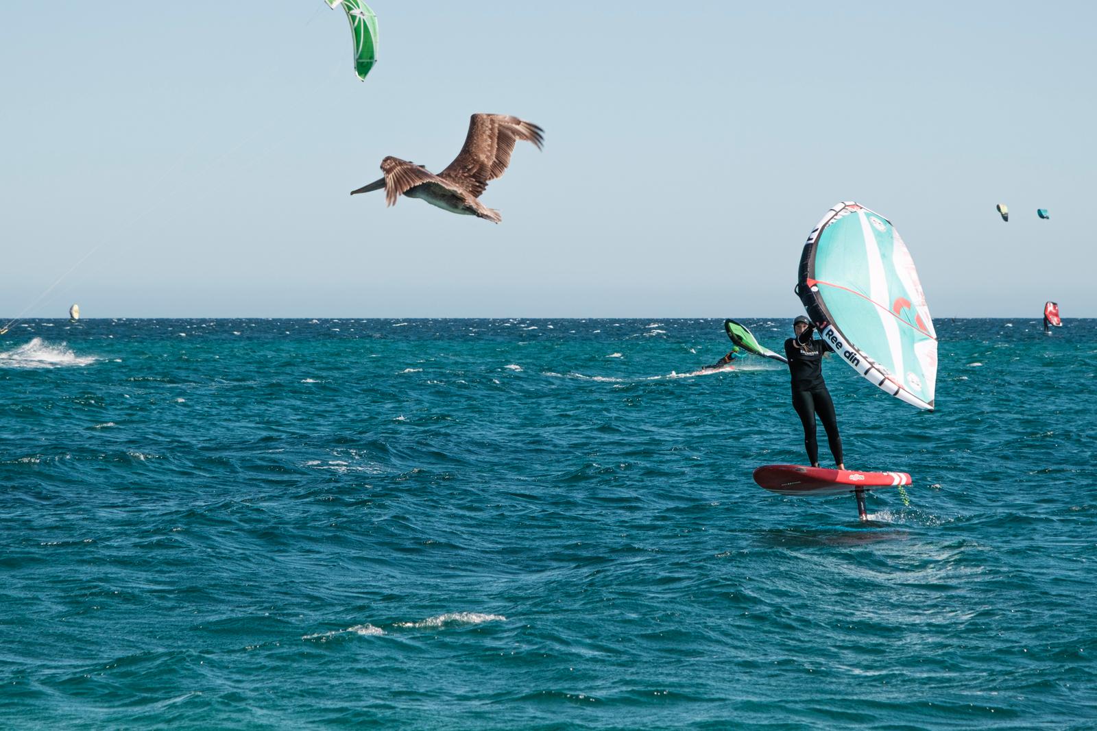 Baja Wing & Watersports — photo 5